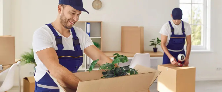 Professional packers are placing household items into boxes during an organized home packing service.